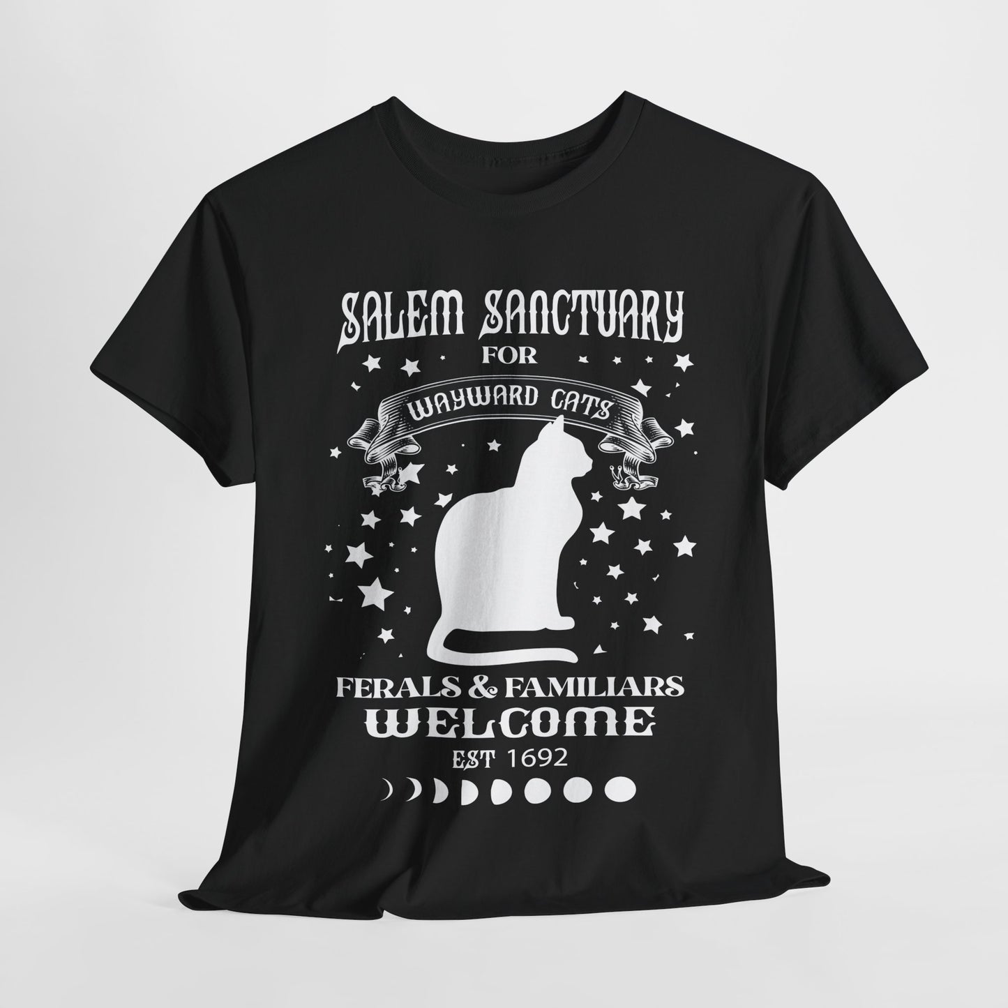 Salem Sanctuary Cat Lover Unisex Heavy Cotton Tee - Ferals & Familiars Welcome