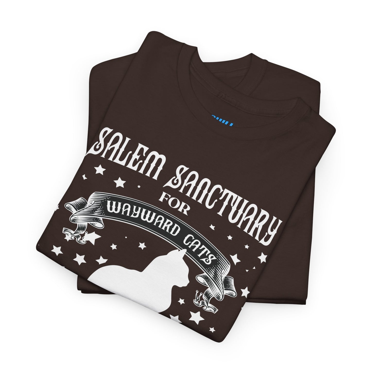 Salem Sanctuary Cat Lover Unisex Heavy Cotton Tee - Ferals & Familiars Welcome