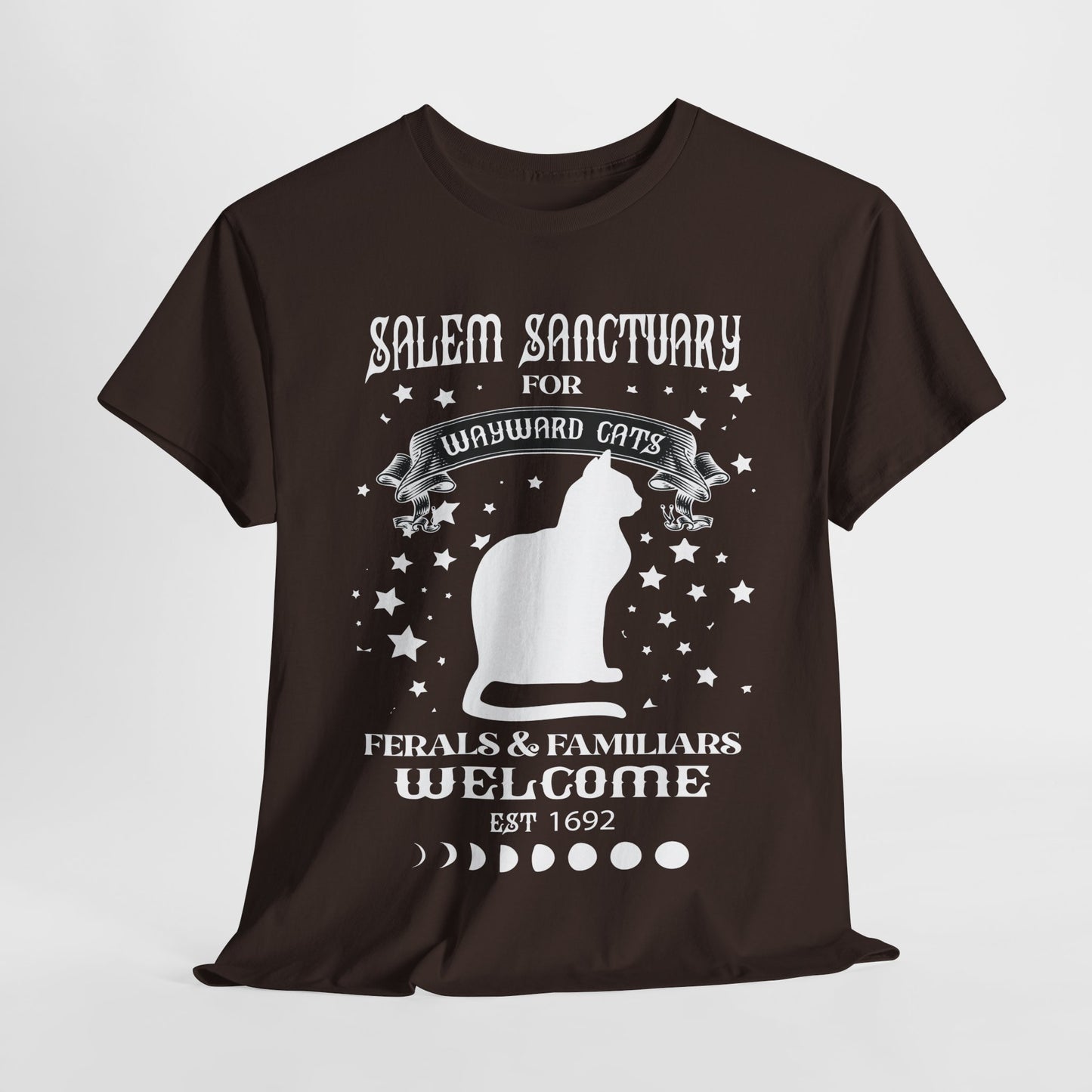 Salem Sanctuary Cat Lover Unisex Heavy Cotton Tee - Ferals & Familiars Welcome