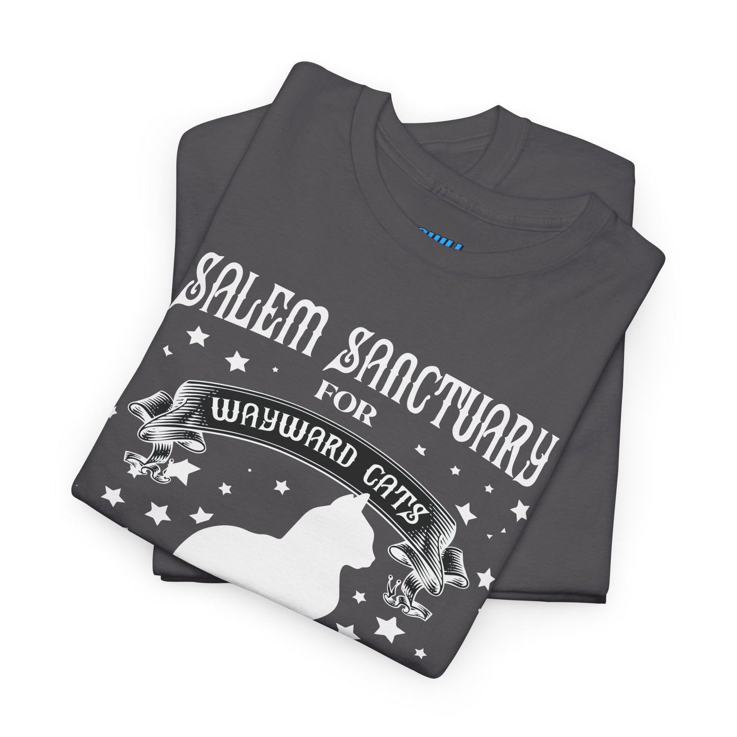 Salem Sanctuary Cat Lover Unisex Heavy Cotton Tee - Ferals & Familiars Welcome