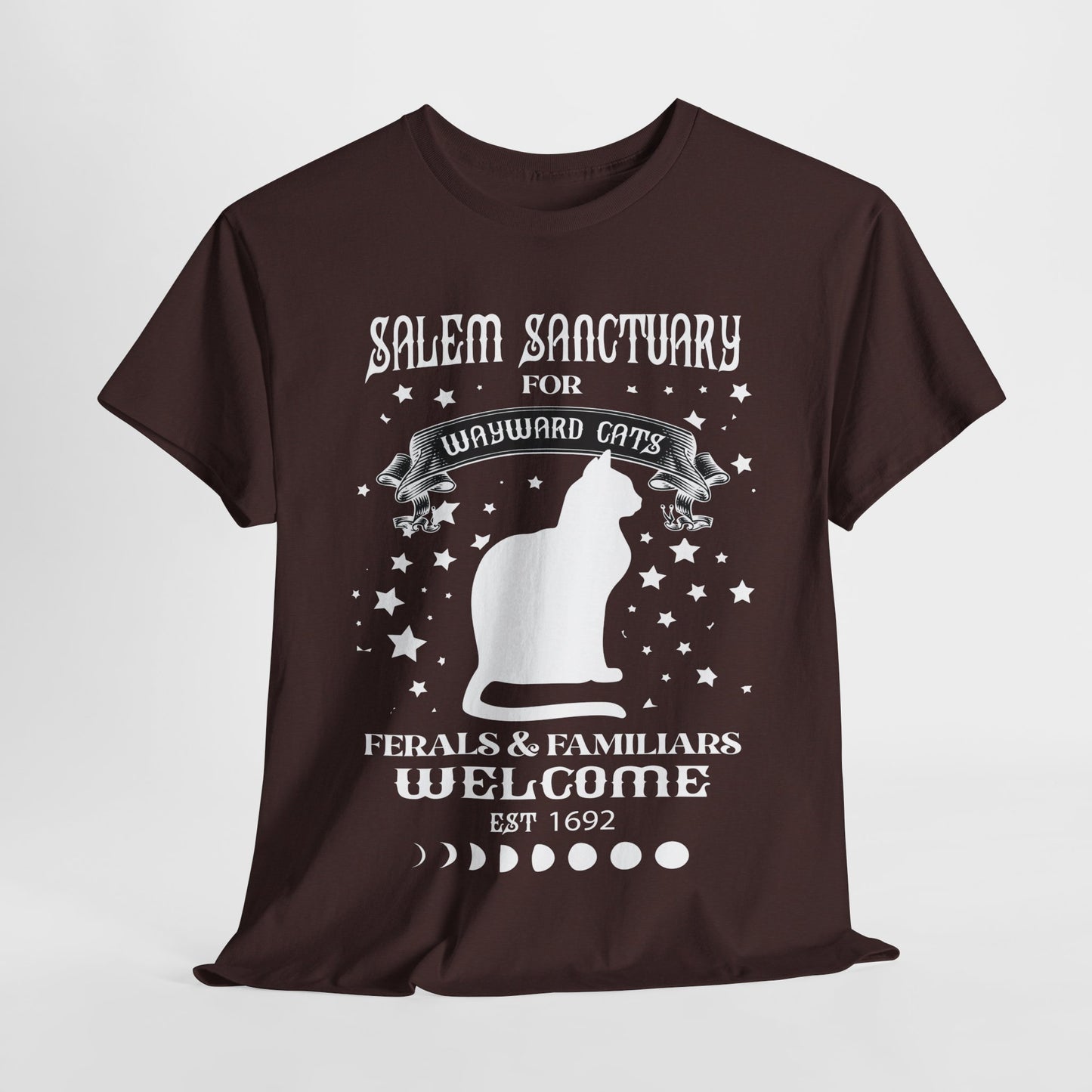 Salem Sanctuary Cat Lover Unisex Heavy Cotton Tee - Ferals & Familiars Welcome