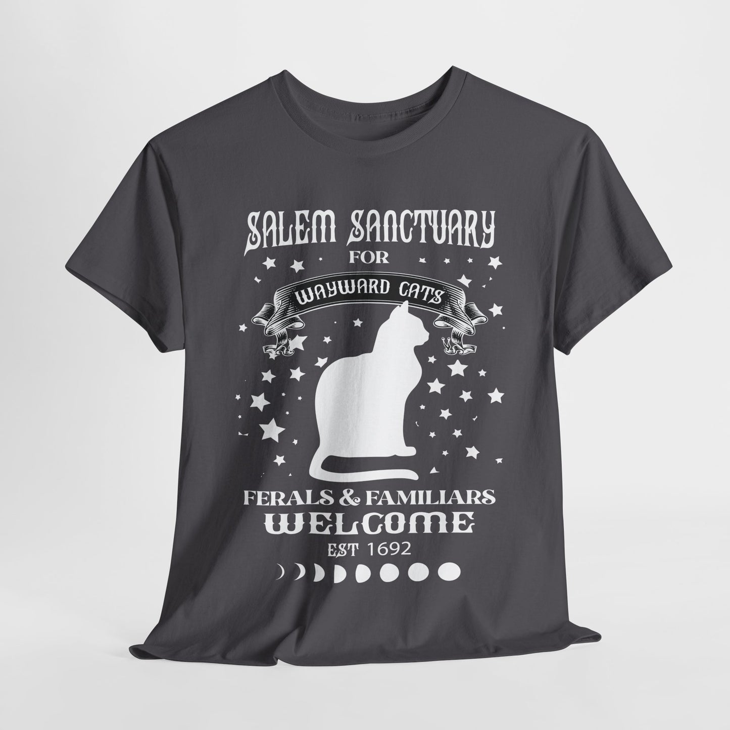 Salem Sanctuary Cat Lover Unisex Heavy Cotton Tee - Ferals & Familiars Welcome