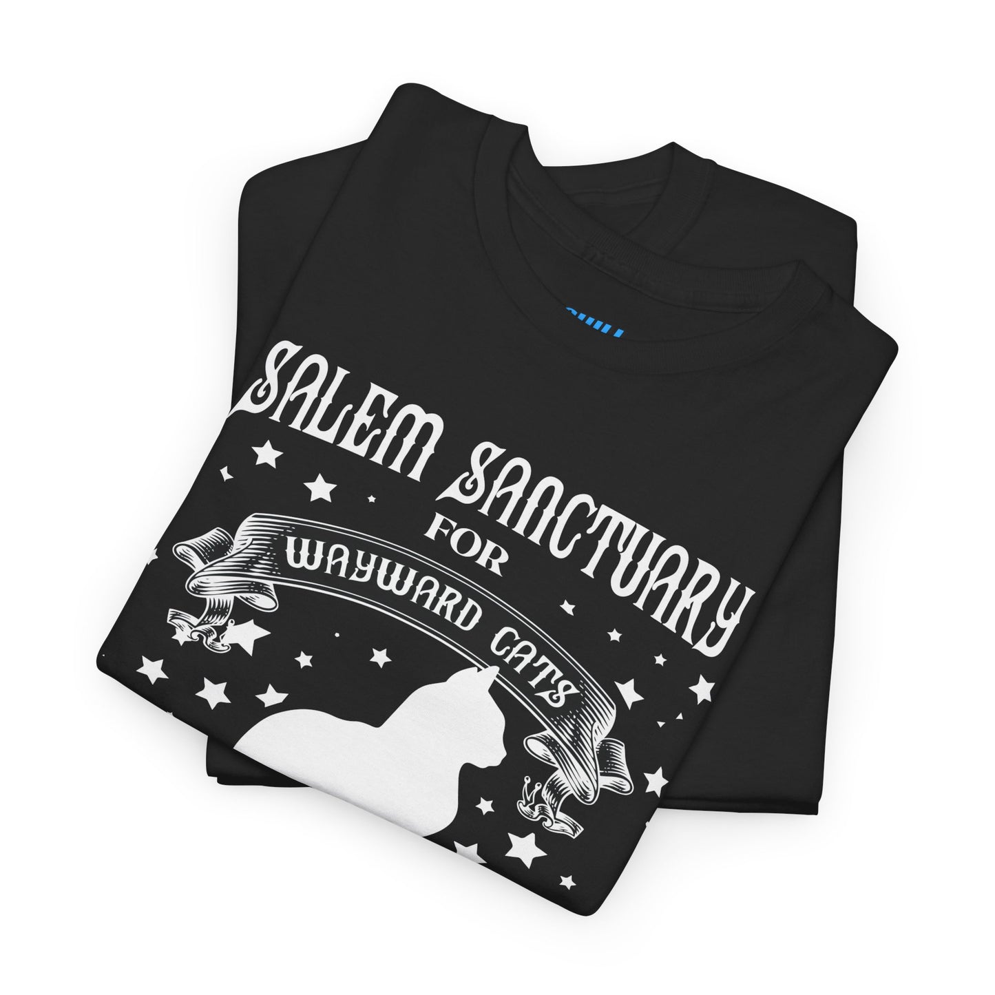 Salem Sanctuary Cat Lover Unisex Heavy Cotton Tee - Ferals & Familiars Welcome